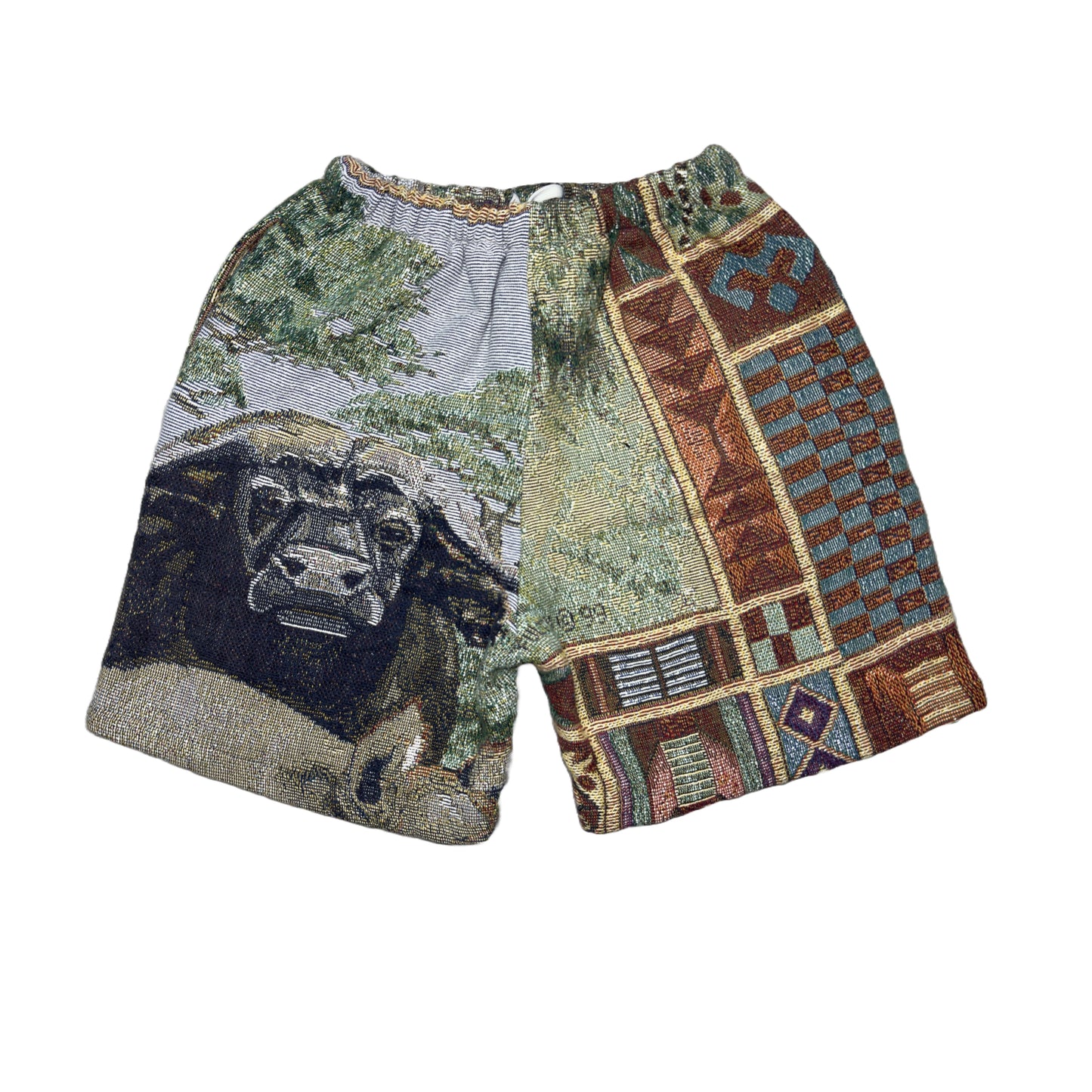 Zoo ahh Tapestry Shorts