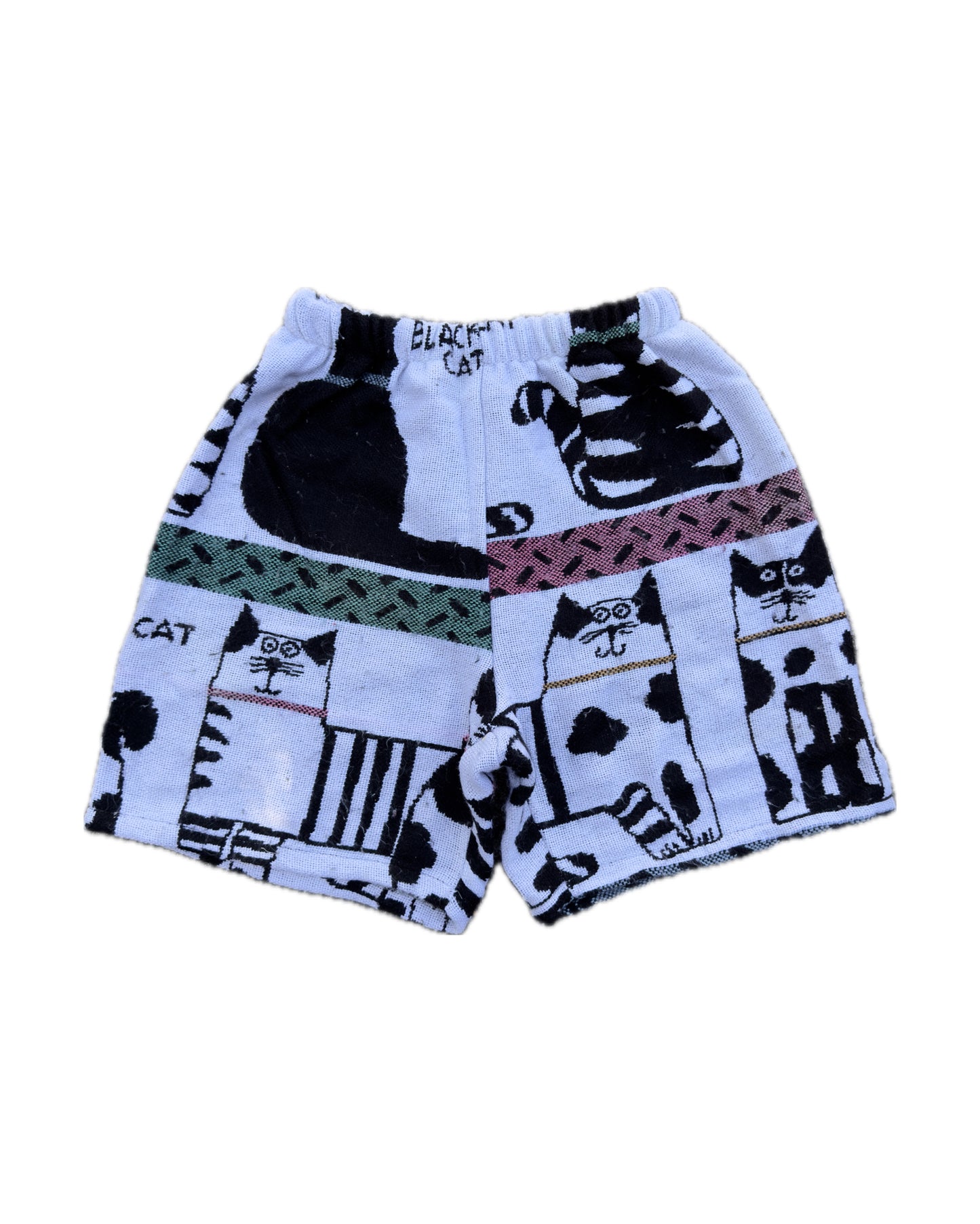 Tabby Cat Cartoon Tapestry Shorts