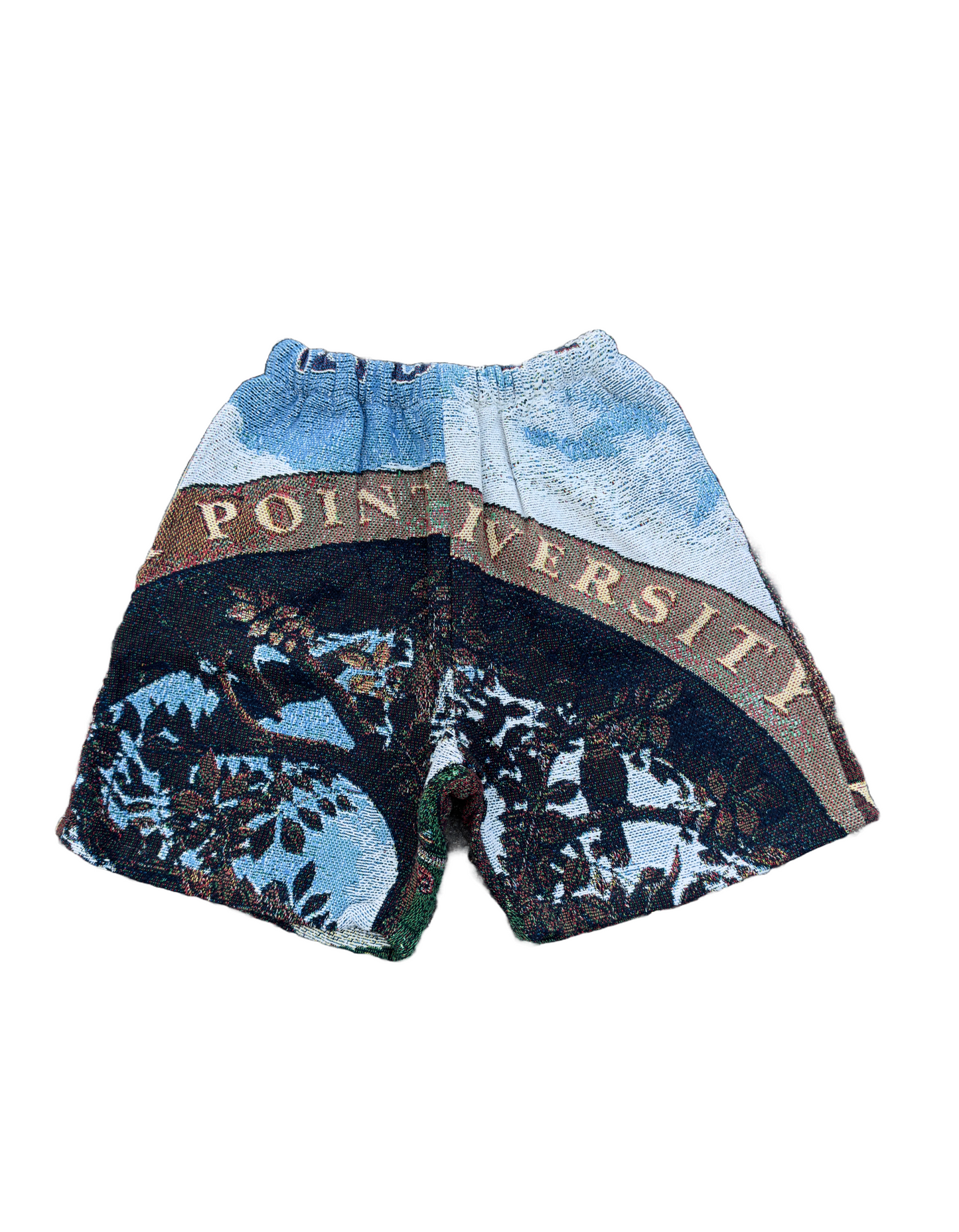 Point University Tapestry Shorts