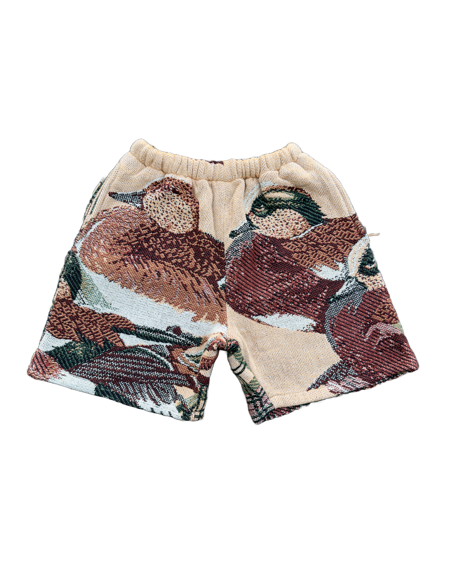 Duck Plaid Tapestry Shorts