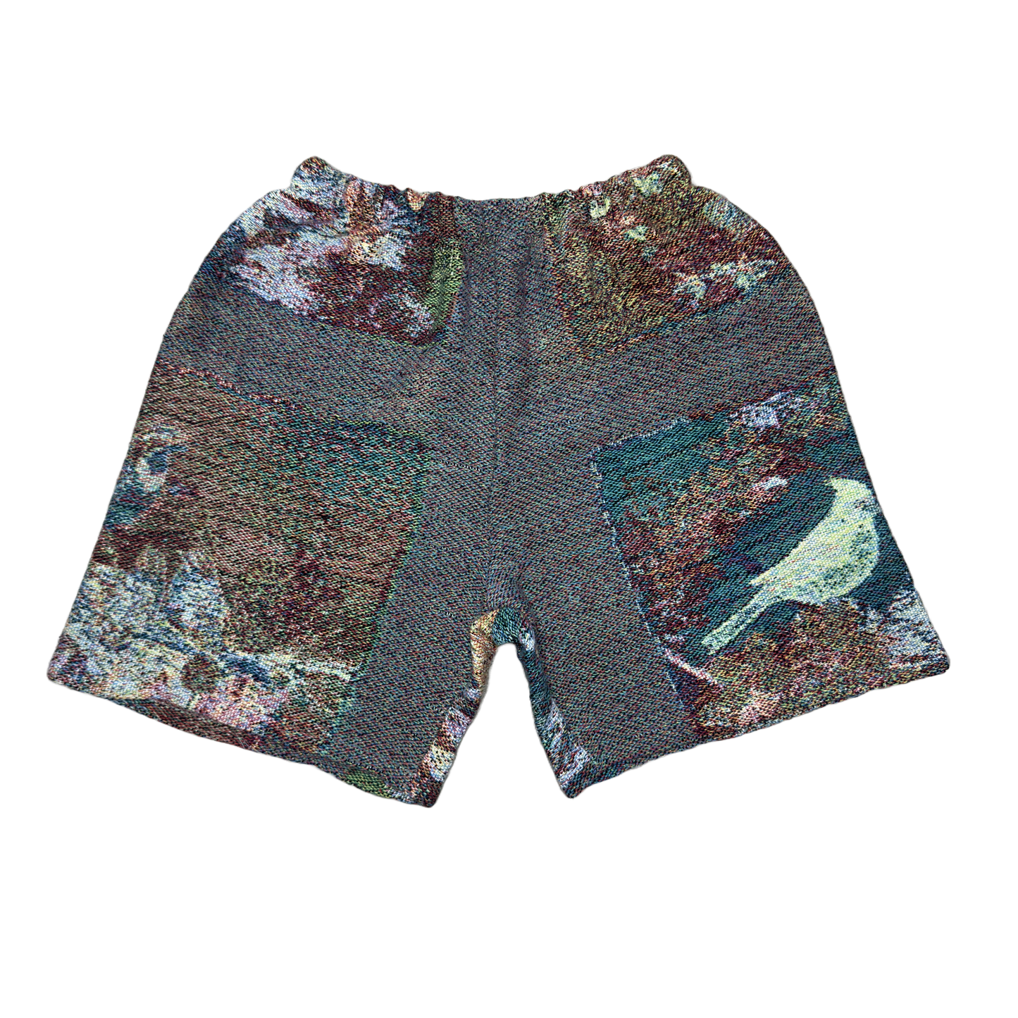 Glitchy Art Bird Tapestry Shorts