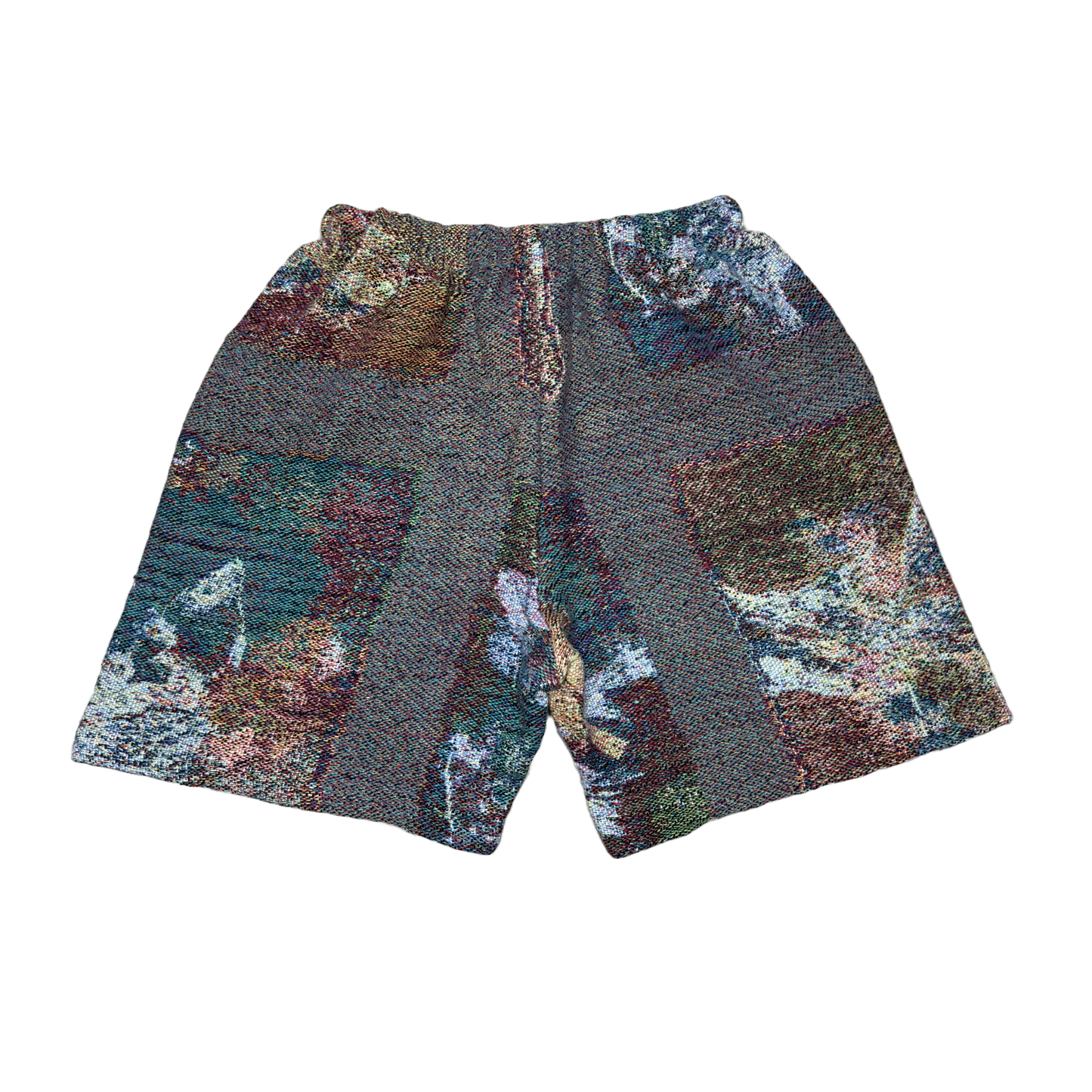 Glitchy Art Bird Tapestry Shorts